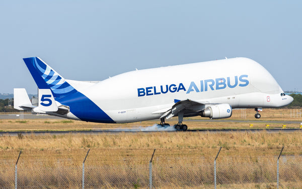 The Airbus Beluga Story